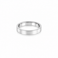 Biseau Pur Argent
